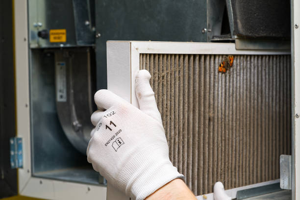 Best Air Duct Cleaning Near Me in East Lake Orient Park, FL