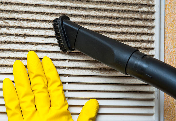 Best Affordable HVAC Duct Cleaning  in East Lake Orient Park, FL